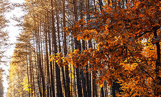 点赞中国城包头受邀！快来了解为家乡点赞的具体操作步骤