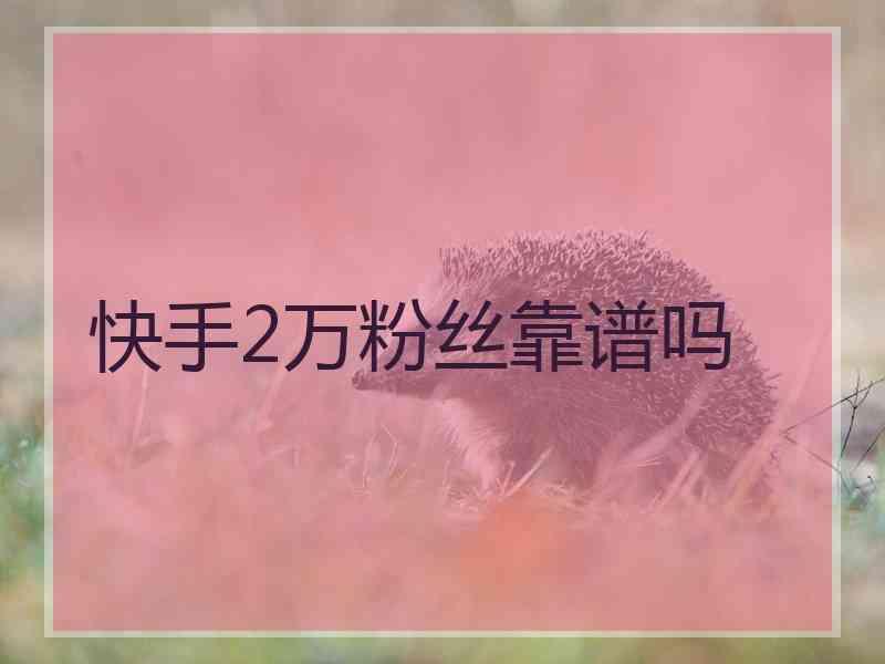 快手播放量软件安卓最新版_快手播放量软件下载_快手1元1万播放量软件