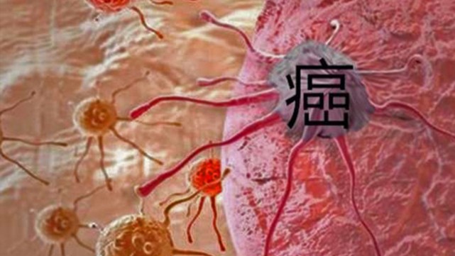 快手买站一块钱100_买快手快币_快手得钱