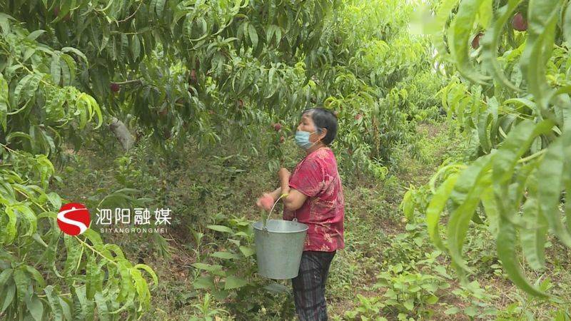 抖音业务24小时在线下单_抖音订单小时工是什么_抖音视频在线下单