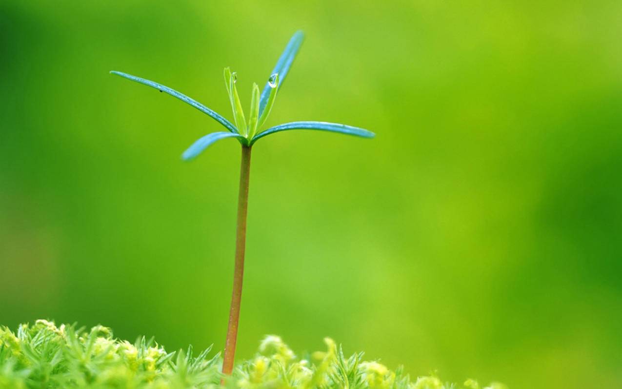 快手免费业务全网最低_快手业务最便宜网站_快手免费业务平台