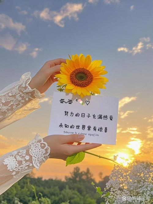 适合小红书的文案_活得尽兴不是过得庆幸_遇见即是上上签